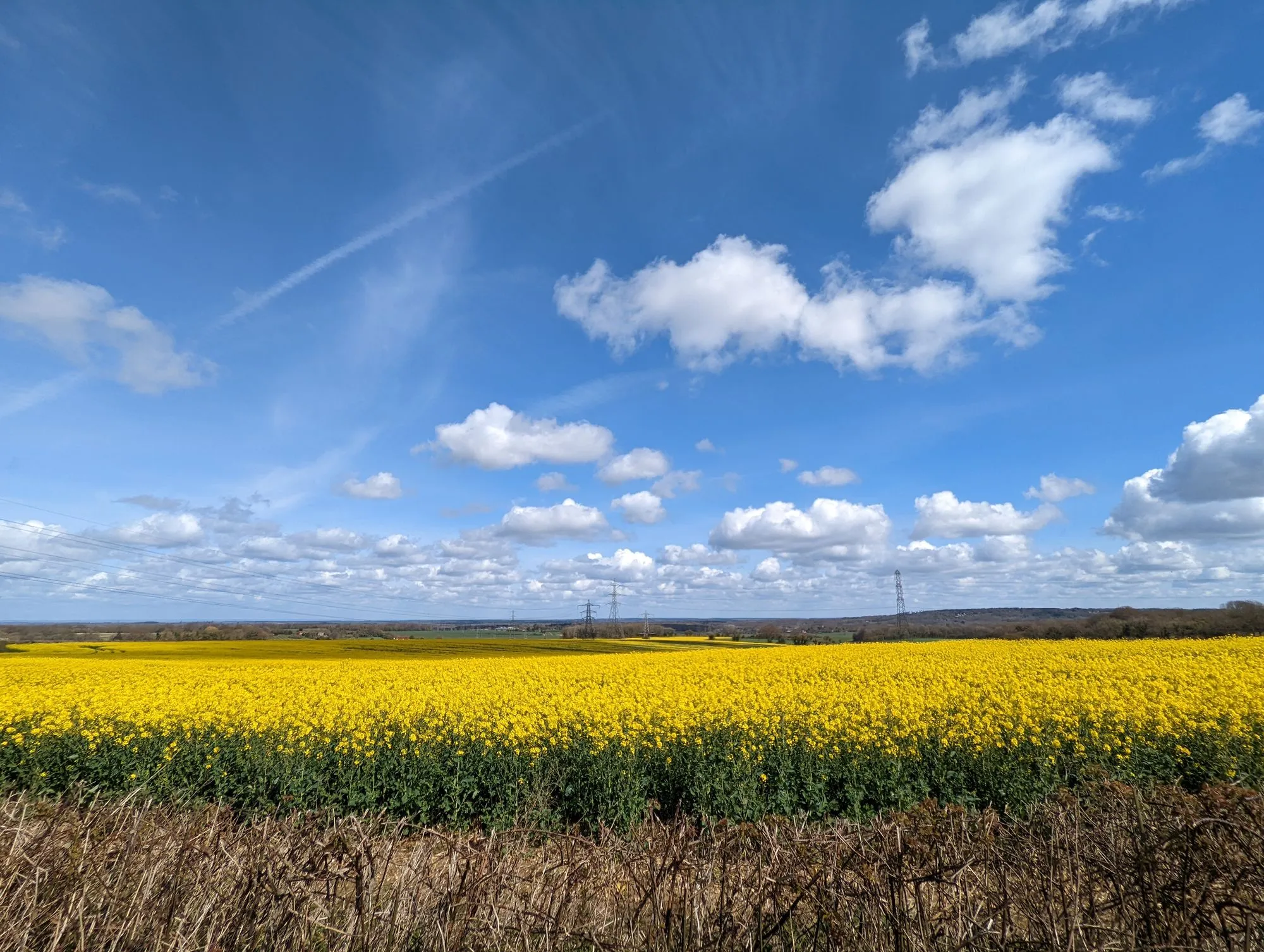 Spring countryside view.